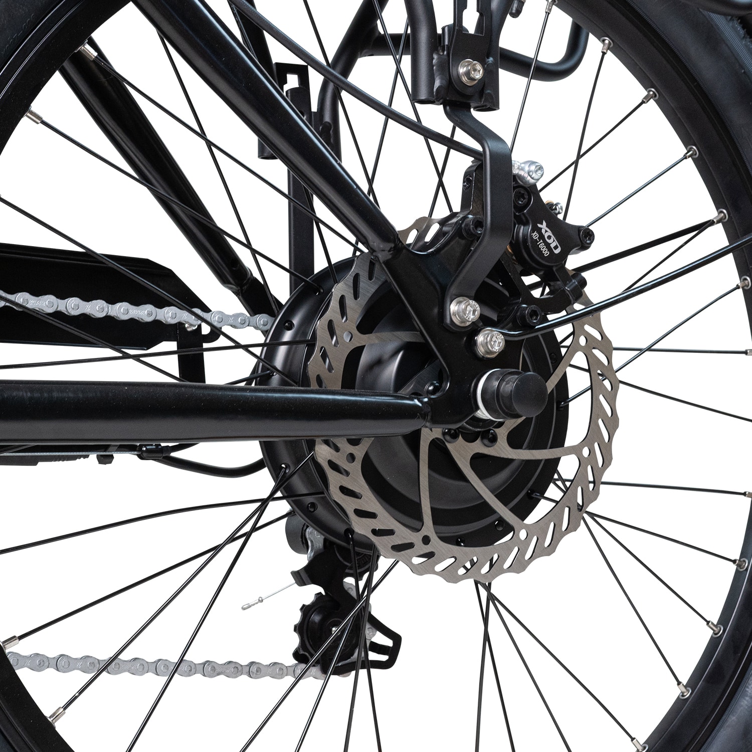 EvoBike Cargo Pro